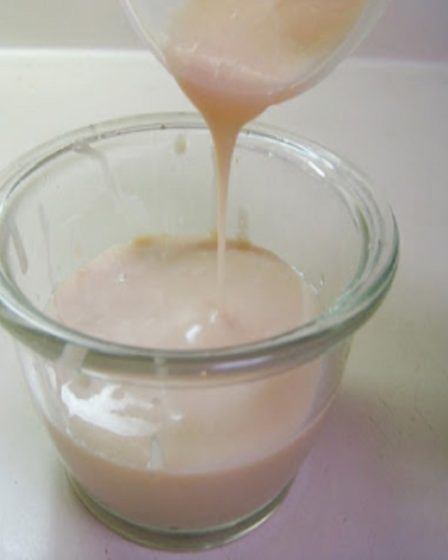 Leite Condensado Vegano - 2 Ingredientes