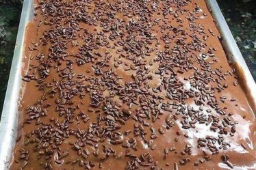 Bolo Nega Maluca Fácil