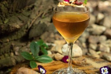 Drinque Andarilho da Floresta