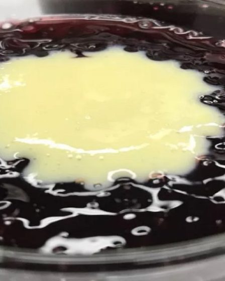 Sagu de vinho com creme inglês
