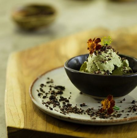 Receita de Sorvete de abacate com mel