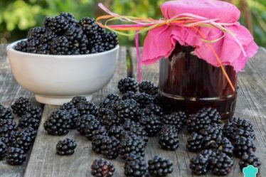 receita de geleia de amora facil