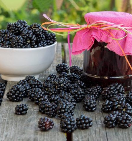 receita de geleia de amora facil